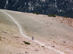 Bicycle adventurer