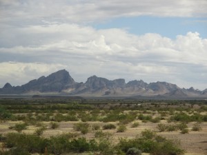 Either New Water or Kofa Mountains