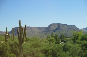 Sonoran Desert