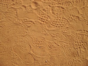 Sand fossils