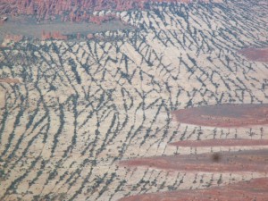 Lines of cracks in the rock