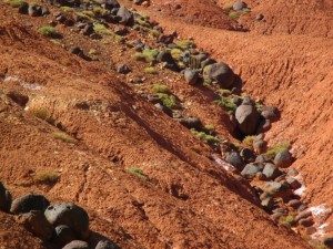 Lava boulders