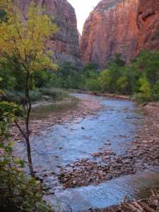 Virgin River coming out of The Narrows