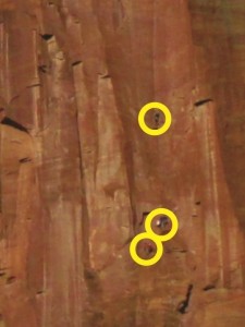 Close-up of rock climbers