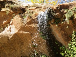 Water spraying from above