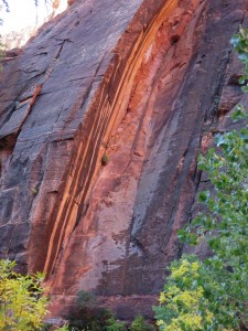 "Desert varnish" on the rock