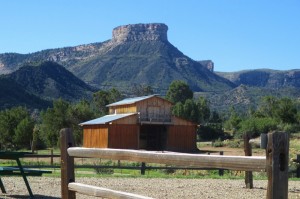 Mesa Verde